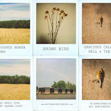 4/25/09: Flyer by Greg Sun