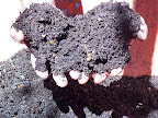 composted mulch