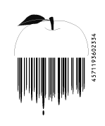 apple juice