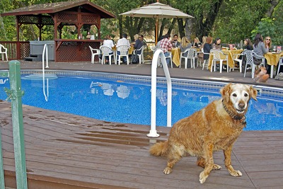 [Mattie-does-a-dance-at-Per-[3].jpg]