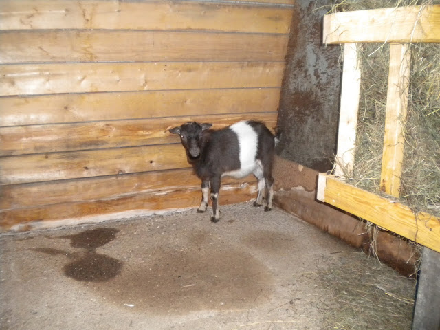 DSCN1219.JPG