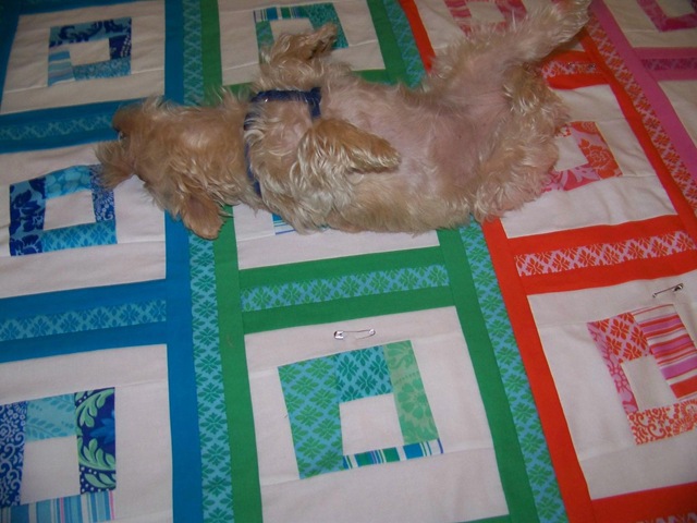 [maggie on quilt 3[2].jpg]