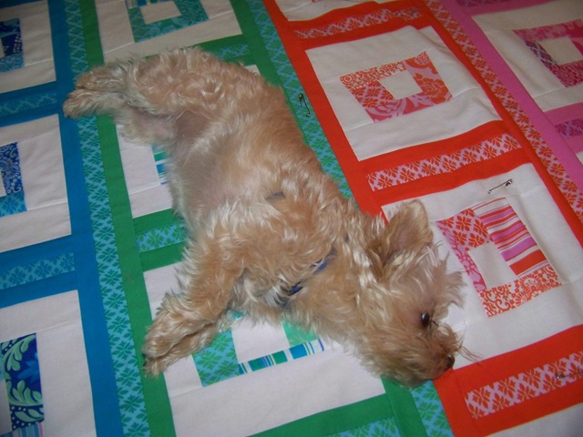 [maggie on quilt 6[2].jpg]