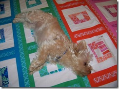 maggie on quilt 6