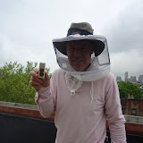 bees