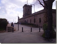 IMGP2901