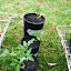 Tomato Mortgage Lifter