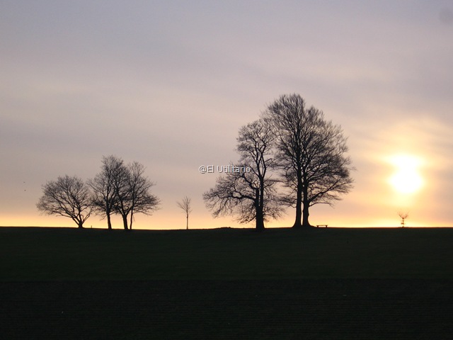 [2009_01_04 Roundhay park (2)[29].jpg]