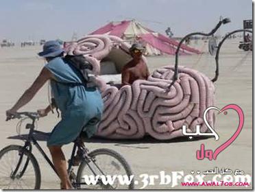 ��� ������ ����� ����� image010.jpg