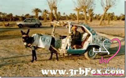 ��� ������ ����� ����� image018.jpg