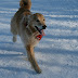 jan2009 1142.JPG