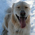 jan2009 1143.JPG