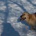 jan2009 1140.JPG