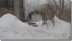 front door with tree circle