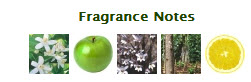 ����������Ѻ����� : Ferrari Light Essence Eau de Toilette 4 ml