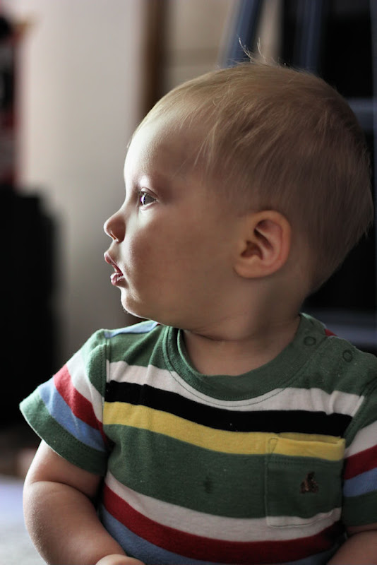 IMAGE: http://lh4.ggpht.com/_uIhjikWZhqY/TGSzzieR17I/AAAAAAAAAyI/p9NvepWrlOc/s800/2010_07_21_4338%20Pm.JPG