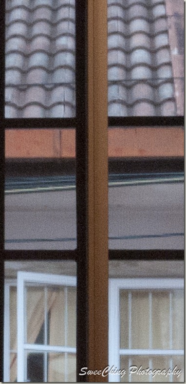 P1150303_GF1