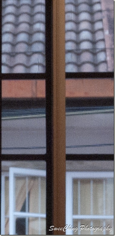 P1150304_GF1