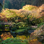 Taken at the Portland Japanese Gardens, By Brent Miller