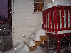 Schneesturm-21.JPG