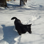Snowstorm 1- Bo playing-2.JPG