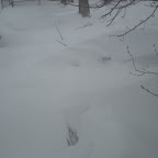 Snowstorm 2- Our Car.JPG