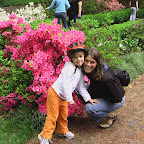 Arboretum-8.JPG