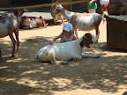 DSC03785.JPG