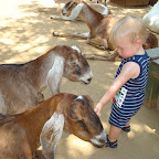 DSC03787.JPG