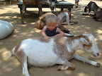DSC03788.JPG