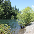 IMG_3341.JPG