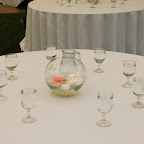 IMG_3802.JPG