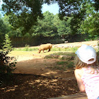 DSC03872-1.JPG