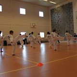 IMG_9237.JPG