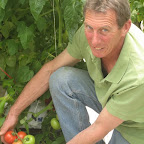 Chef-led journey through the Mornington Peninsula twenty four hydroponic tomatoes