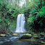 MPT : Dandenong Ranges MPT : Dandenong Ranges
