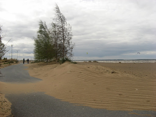 tempete_nallikari_2012.jpg