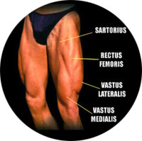 My first Half Ironman - Muskoka 70.3 - Running Mania