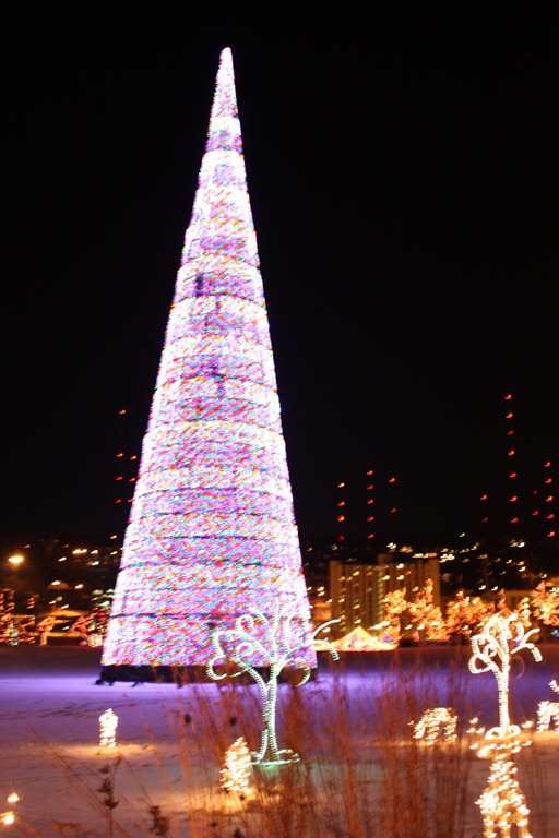 [Dec. 2010 078[3].jpg]