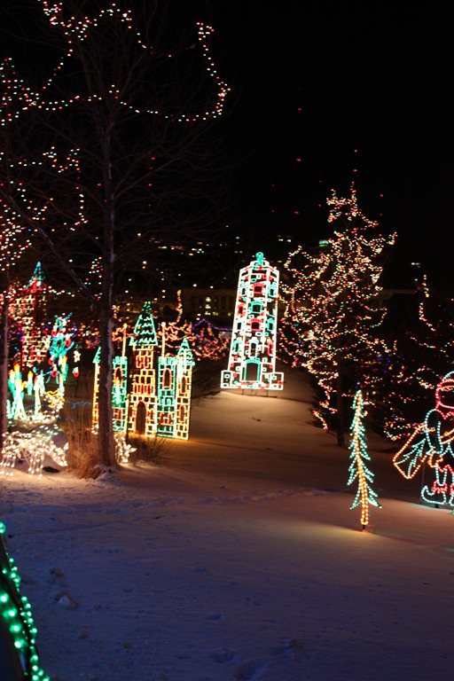 [Dec. 2010 082[3].jpg]