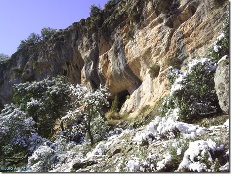 Vista de la cueva Foradá desde el barranco