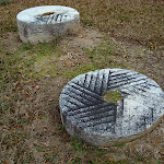 DSC01337.JPG