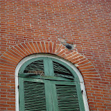 DSC00885.JPG