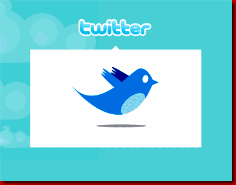 twitter2