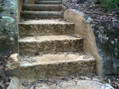 Garigal steps three.jpg