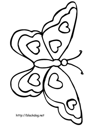 [butterfly[1].jpg]