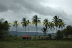 View from area next to Makam Mahsuri View from area next to Makam Mahsuri