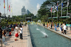 the participants