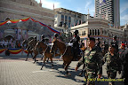Horse Unit Horse Unit