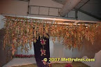 Hanging garden Hanging garden